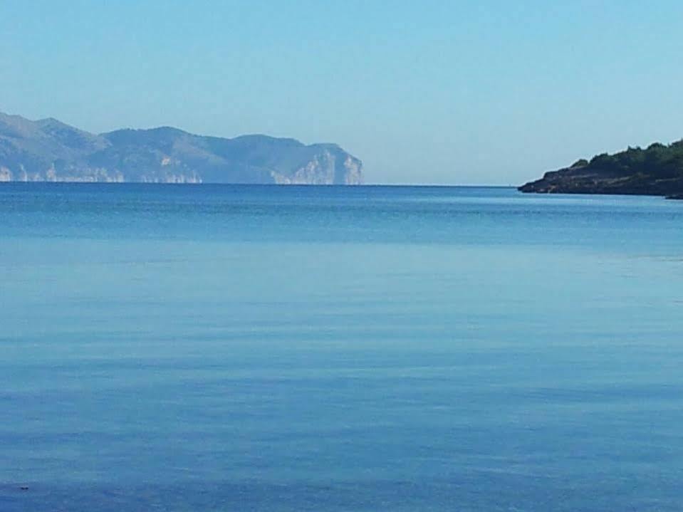 Villa Roser - Family Only Alcudia  Dış mekan fotoğraf